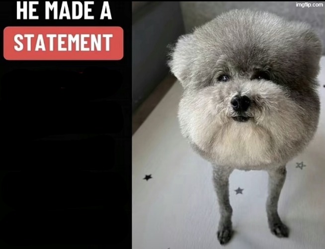 He made a statement so trash | image tagged in he made a statement so trash | made w/ Imgflip meme maker