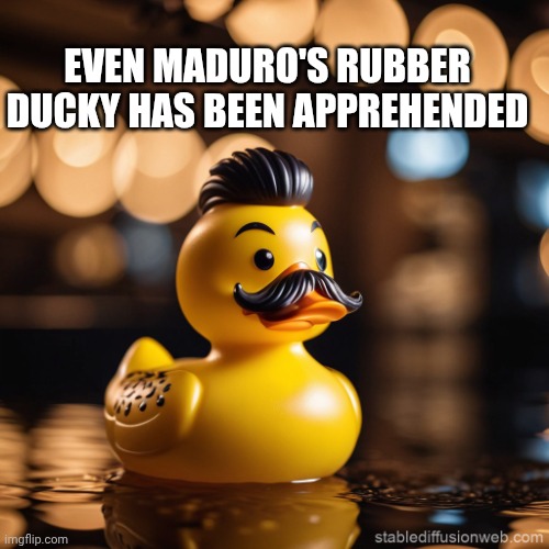 Maduro memes | EVEN MADURO'S RUBBER DUCKY HAS BEEN APPREHENDED | image tagged in duck | made w/ Imgflip meme maker