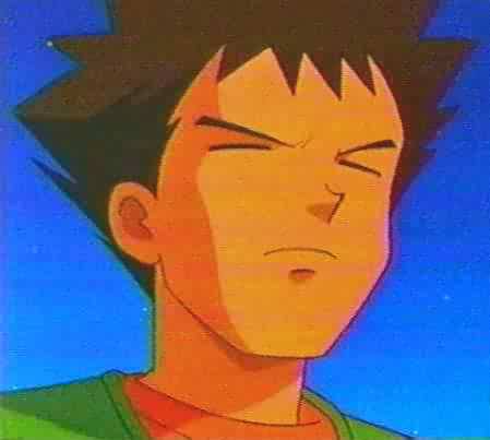 Brock In Blank Meme Template