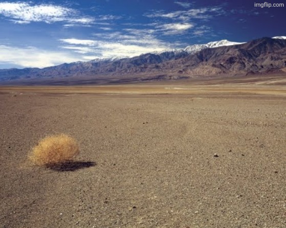 so when I started posting, I killed the stream again. lore | image tagged in desert tumbleweed | made w/ Imgflip meme maker