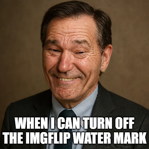WHEN I CAN TURN OFF THE IMGFLIP WATER MARK | made w/ Imgflip meme maker