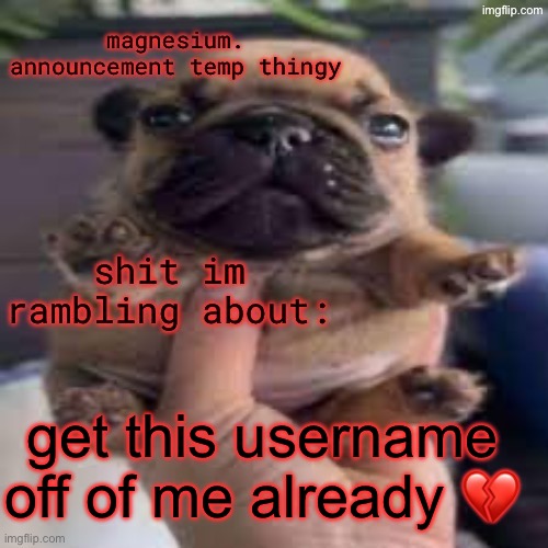 pug temp | get this username off of me already 💔 | image tagged in pug temp | made w/ Imgflip meme maker