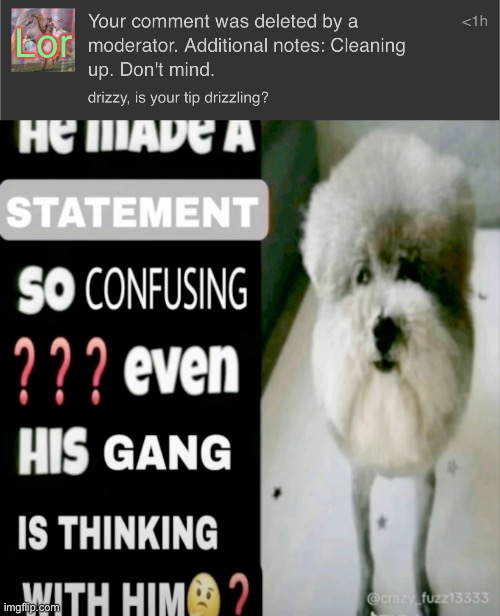 image tagged in he made a statement so confusing | made w/ Imgflip meme maker
