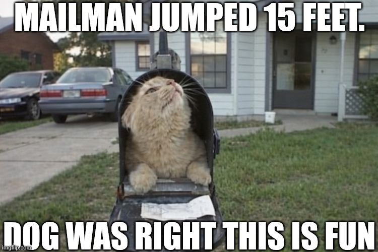 Mailman Jumped 15 Feet | MAILMAN JUMPED 15 FEET. DOG WAS RIGHT THIS IS FUN | image tagged in chrisjoines1 | made w/ Imgflip meme maker