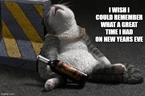 Cat wishes she could remember what a great time she had on New Years Eve. | I WISH I COULD REMEMBER WHAT A GREAT TIME I HAD ON NEW YEARS EVE | image tagged in cat,kittens,funny,humor,new years eve,drinking | made w/ Imgflip meme maker