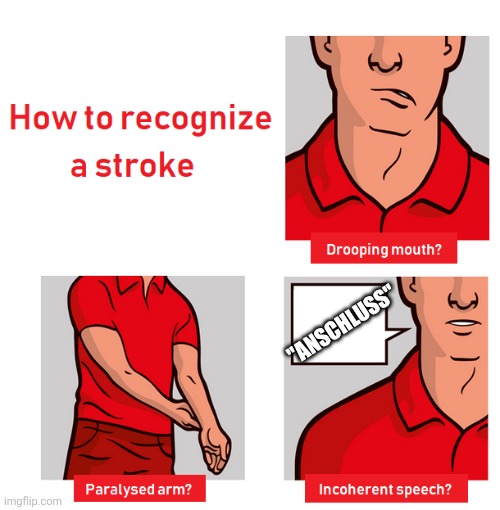 This got me a 24hr timeout, for "insulting another user" because i pointed out a blatant typo in their comment. | "ANSCHLUSS" | image tagged in signs of a stroke | made w/ Imgflip meme maker