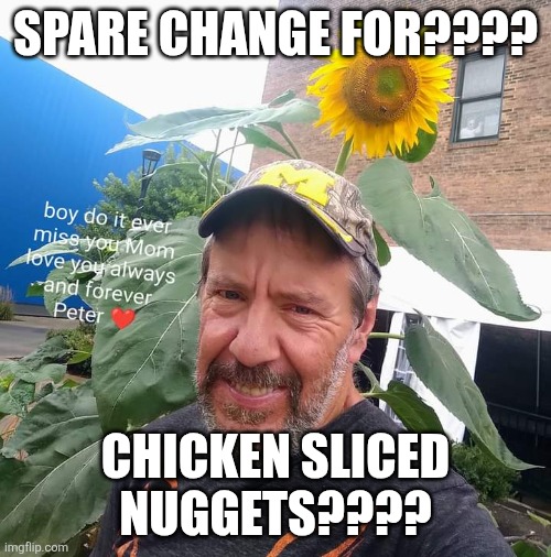 Spare Change For??? | SPARE CHANGE FOR???? CHICKEN SLICED NUGGETS???? | image tagged in peter plant,chicken nuggets,homeless,funny,memes | made w/ Imgflip meme maker