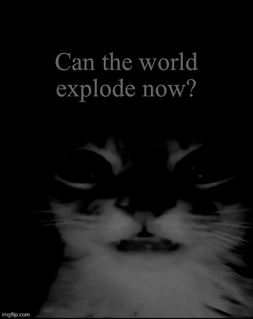 orange cat uncanny stare | Can the world explode now? | image tagged in orange cat uncanny stare | made w/ Imgflip meme maker