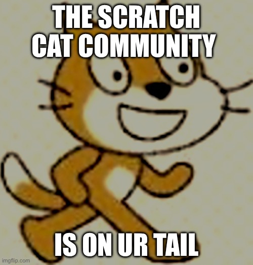 Scratch cat community | THE SCRATCH CAT COMMUNITY; IS ON UR TAIL | image tagged in funny meme,scratch | made w/ Imgflip meme maker