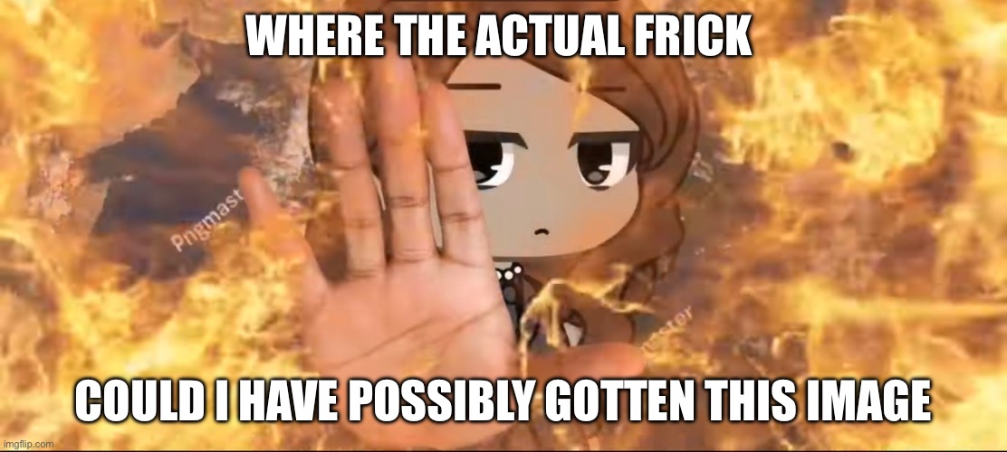 like actually wtf? | WHERE THE ACTUAL FRICK; COULD I HAVE POSSIBLY GOTTEN THIS IMAGE | image tagged in memes | made w/ Imgflip meme maker