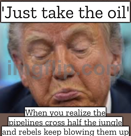 Until you realize keeping control of the oil fields is a logistical nightmare | 'Just take the oil'; When you realize the pipelines cross half the jungle and rebels keep blowing them up | image tagged in trump facial expression,donald trump,venezuela,evil government,war on drugs,rebels | made w/ Imgflip meme maker