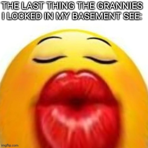 Grandmas in the Basement | image tagged in grandmas in the basement | made w/ Imgflip meme maker