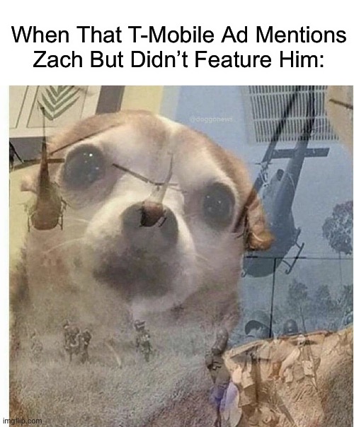That T-Mobile ad sucked (btw, Zach’s my baby) | When That T-Mobile Ad Mentions Zach But Didn’t Feature Him: | image tagged in ptsd chihuahua | made w/ Imgflip meme maker