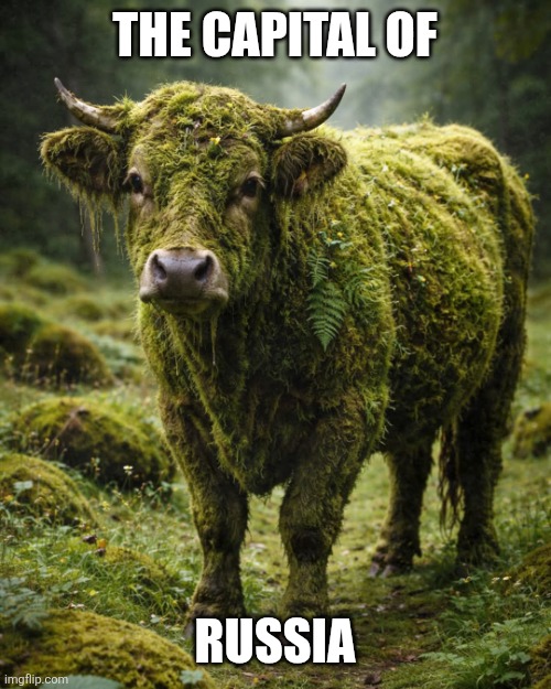 Russia Capital City | THE CAPITAL OF; RUSSIA | image tagged in russia capital city | made w/ Imgflip meme maker