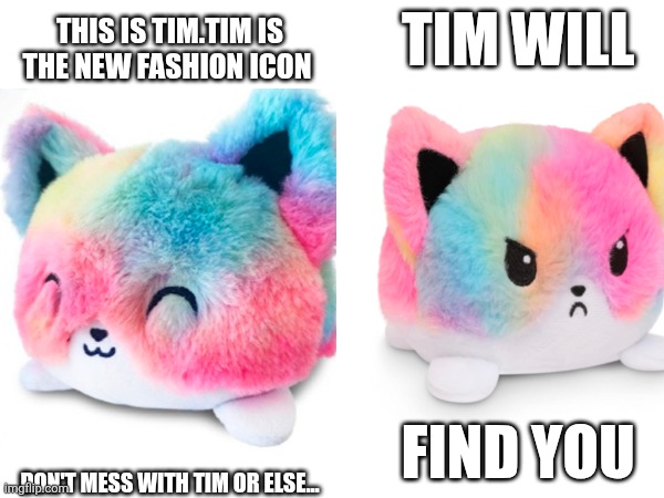 Tim | TIM WILL; THIS IS TIM.TIM IS THE NEW FASHION ICON; FIND YOU; DON'T MESS WITH TIM OR ELSE... | image tagged in fun | made w/ Imgflip meme maker