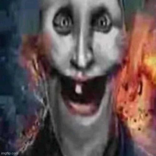 caldruki | image tagged in idk,memes,bro why are u reading the tags | made w/ Imgflip meme maker