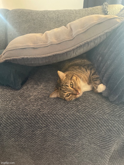 “As a child, I yearned for the mines” ahh | made w/ Imgflip meme maker