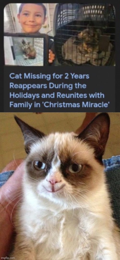 Christmas Miracle | image tagged in grumpy/happy cat,christmas,miracle,memes,cats,cat | made w/ Imgflip meme maker