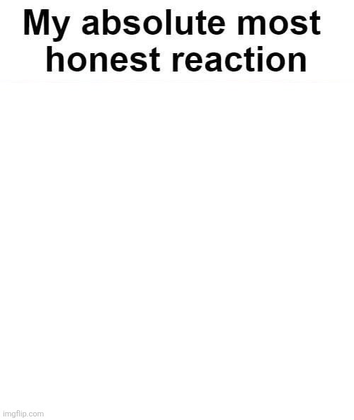 My absolute most honest reaction Blank Meme Template