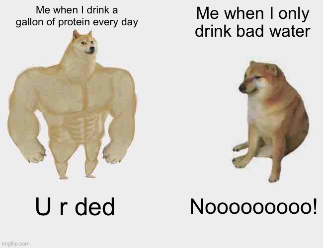 When doge is stronger than doge | Me when I drink a gallon of protein every day; Me when I only drink bad water; U r ded; Nooooooooo! | image tagged in memes,buff doge vs cheems | made w/ Imgflip meme maker