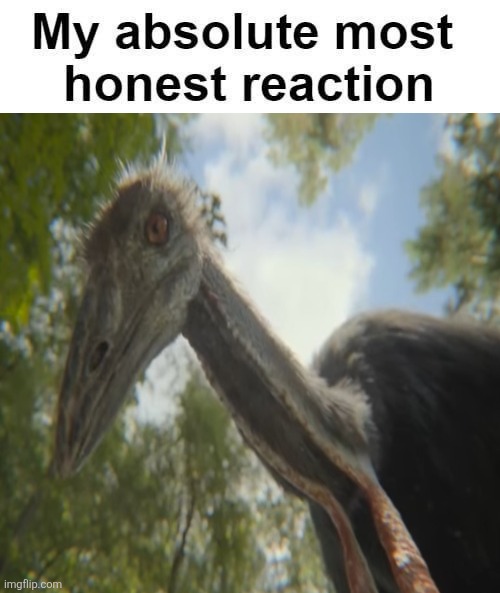 Ah Yes The Elephant Bird | image tagged in my absolute most honest reaction,memes,dinosaurs,funny,lol,humor | made w/ Imgflip meme maker