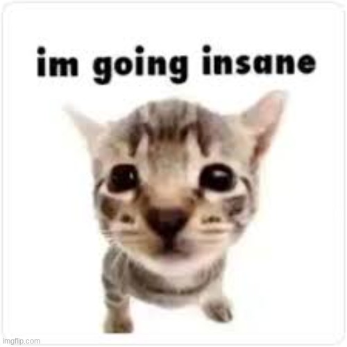 silly | image tagged in memes,idk | made w/ Imgflip meme maker