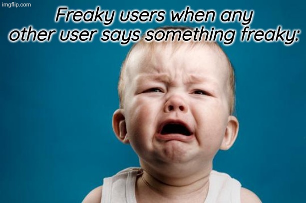 BABY CRYING | Freaky users when any other user says something freaky: | image tagged in baby crying | made w/ Imgflip meme maker