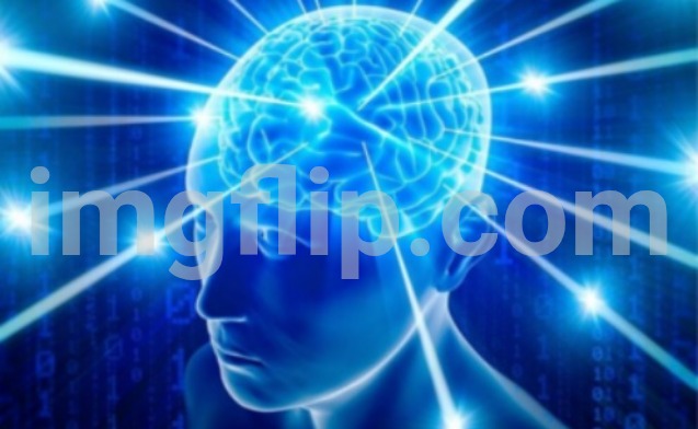 Expanding Brain tile | image tagged in expanding brain tile | made w/ Imgflip meme maker