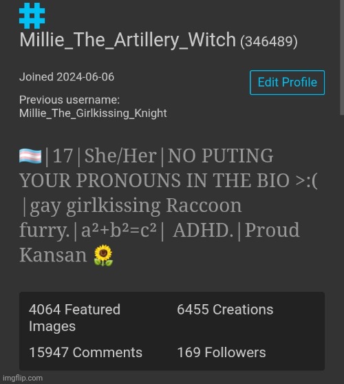 Who wants to bet most of them are alts? Because I know I am not that well liked. | made w/ Imgflip meme maker