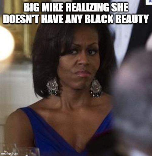 Michelle Obama side eye | BIG MIKE REALIZING SHE DOESN'T HAVE ANY BLACK BEAUTY | image tagged in michelle obama side eye | made w/ Imgflip meme maker