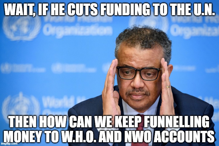 WHO | WAIT, IF HE CUTS FUNDING TO THE U.N. THEN HOW CAN WE KEEP FUNNELLING MONEY TO W.H.O. AND NWO ACCOUNTS | image tagged in who | made w/ Imgflip meme maker