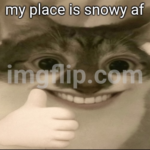 bombastic side eye cat v3 | my place is snowy af | image tagged in bombastic side eye cat v3 | made w/ Imgflip meme maker