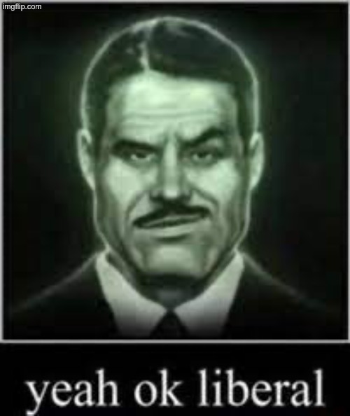 Yeah ok liberal | image tagged in yeah ok liberal | made w/ Imgflip meme maker