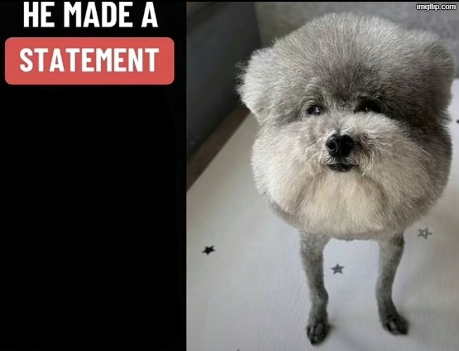 , | image tagged in he made a statement so trash | made w/ Imgflip meme maker