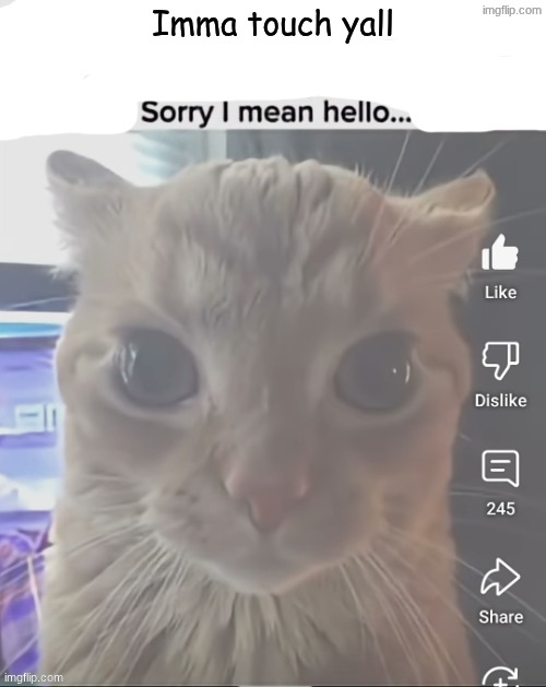 ____..sorry..I mean hello | Imma touch yall | image tagged in ____ sorry i mean hello | made w/ Imgflip meme maker
