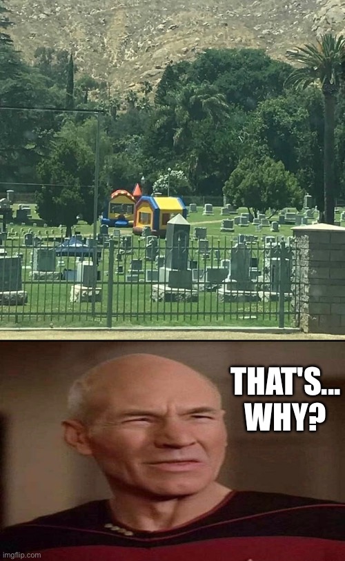 Why in the world is that in a graveyard? | THAT'S... WHY? | image tagged in cursed images,disturbing,excuse me wtf,what a terrible day to have eyes,picard wtf,why cant you just be normal | made w/ Imgflip meme maker