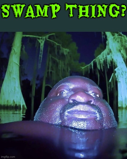Swamp Thing? | SWAMP THING? | image tagged in swamp,horror movies,cursed images,fat ass,what a terrible day to have eyes,excuse me wtf | made w/ Imgflip meme maker