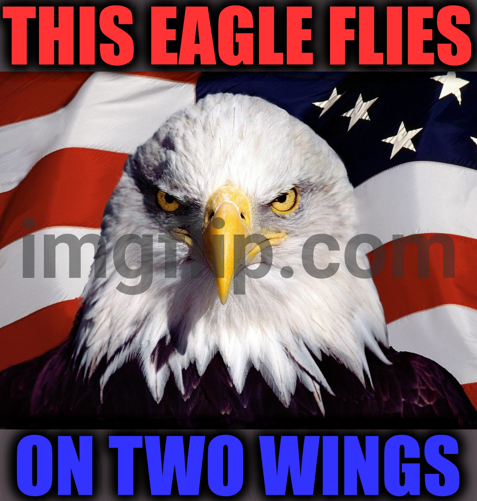 Freedom Eagle | THIS EAGLE FLIES ON TWO WINGS | image tagged in freedom eagle | made w/ Imgflip meme maker