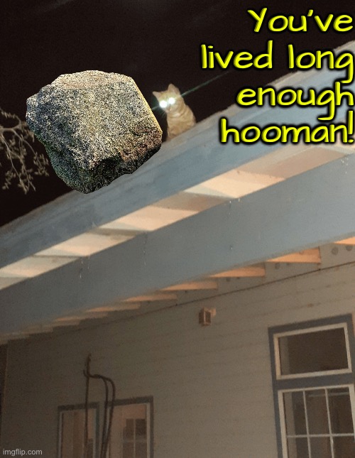 You've Lived Long Enough | You've lived long enough hooman! | image tagged in cats,funny cats,time to die,laser eyes,kill you cat,psychopath | made w/ Imgflip meme maker