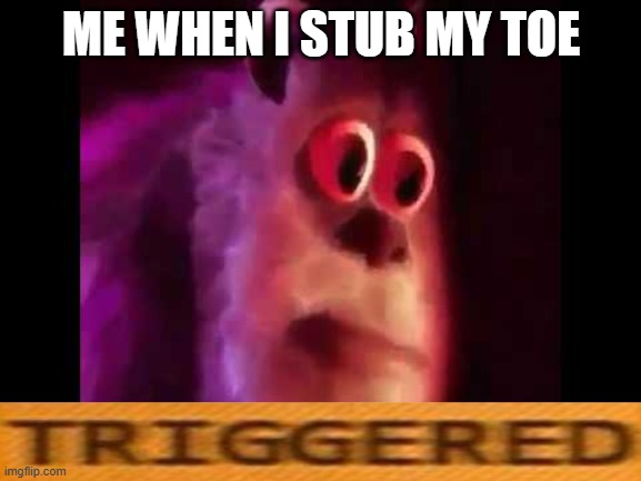relatable | ME WHEN I STUB MY TOE | image tagged in sully groan | made w/ Imgflip meme maker