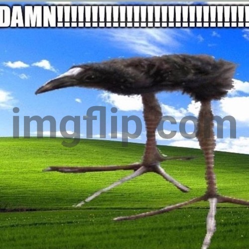 DAMN!!!!!!!!!!!!!!!!!!!!!!!!!!!! | image tagged in damn | made w/ Imgflip meme maker