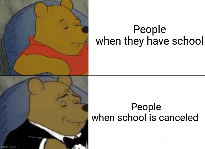 Tuxedo Winnie The Pooh | People when they have school; People when school is canceled | image tagged in memes,tuxedo winnie the pooh | made w/ Imgflip meme maker