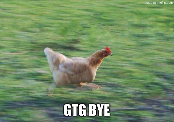 gtg chicken | GTG BYE | image tagged in gtg chicken | made w/ Imgflip meme maker