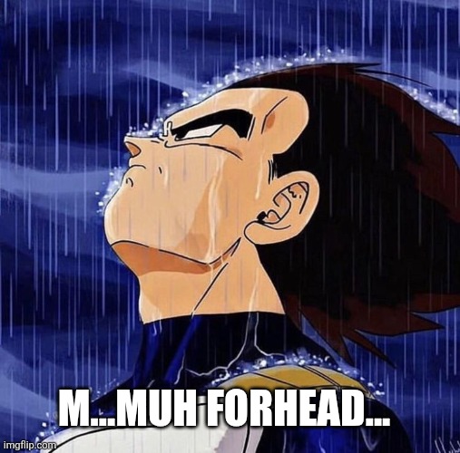 Vegeta in the rain | M...MUH FORHEAD... | image tagged in vegeta in the rain | made w/ Imgflip meme maker