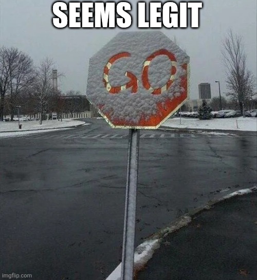 Seems Legit | SEEMS LEGIT | image tagged in chrisjoines1 | made w/ Imgflip meme maker