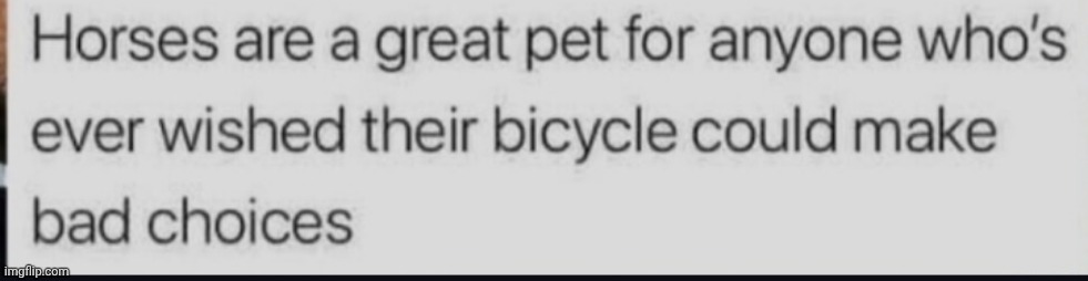 image tagged in horse | made w/ Imgflip meme maker