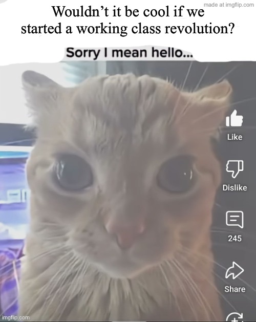 ____..sorry..I mean hello | Wouldn’t it be cool if we started a working class revolution? | image tagged in ____ sorry i mean hello | made w/ Imgflip meme maker