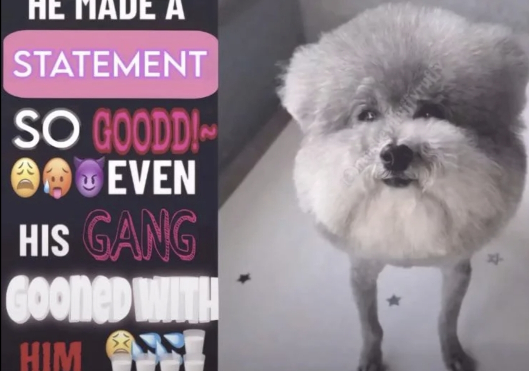 he made a statement so goodd~ even his gang gooned with him Blank Meme Template