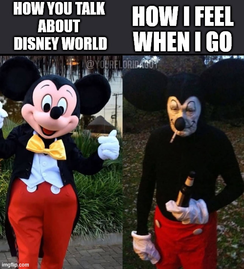 going to disney world | HOW I FEEL WHEN I GO; HOW YOU TALK 
ABOUT 
DISNEY WORLD | image tagged in disney | made w/ Imgflip meme maker