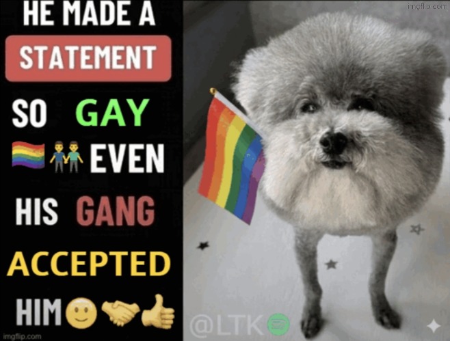 he made a statement so gay | image tagged in he made a statement so gay even his gang accepted him | made w/ Imgflip meme maker